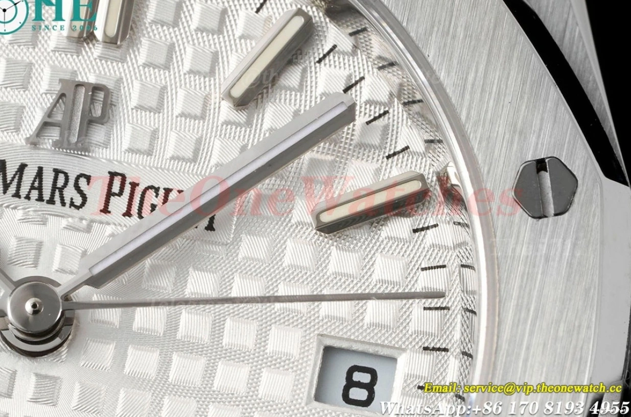 White 77350 Oak Royal  SS 34mm A5800 8F Ladies SS Dial 0113